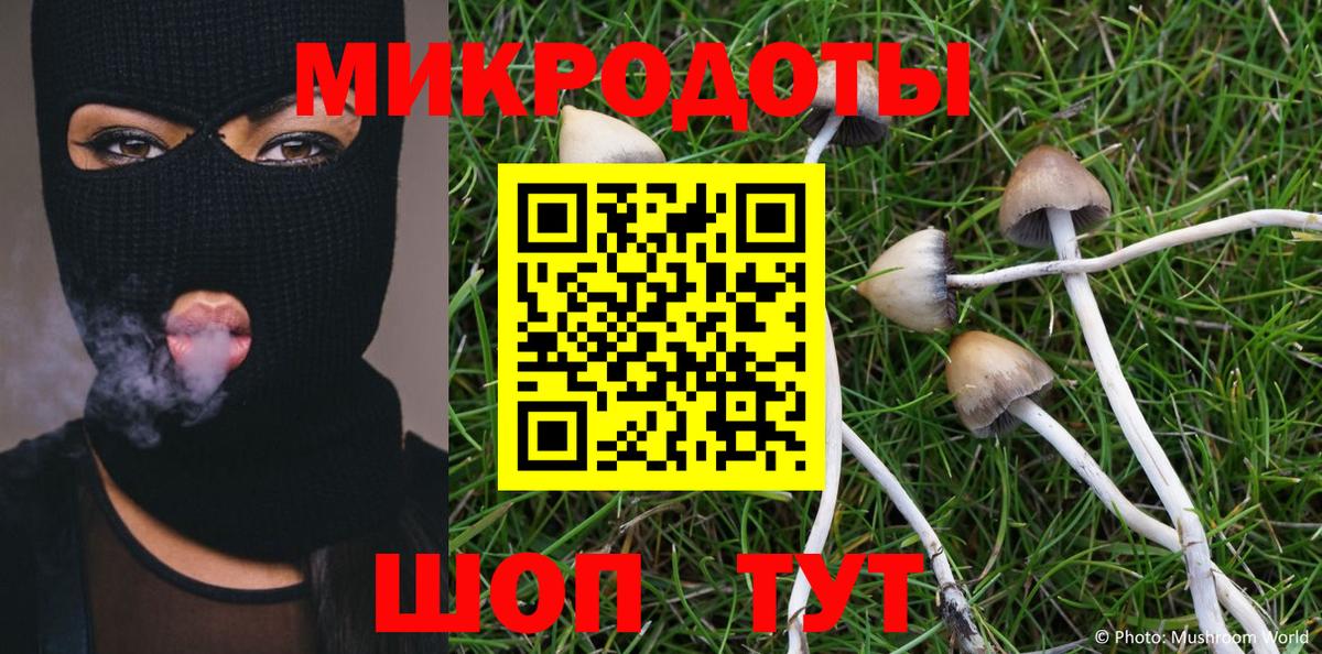 Псилоцибиновые грибы MAGIC MUSHROOMS Добрянка